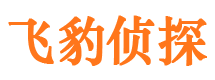 霞山资产调查